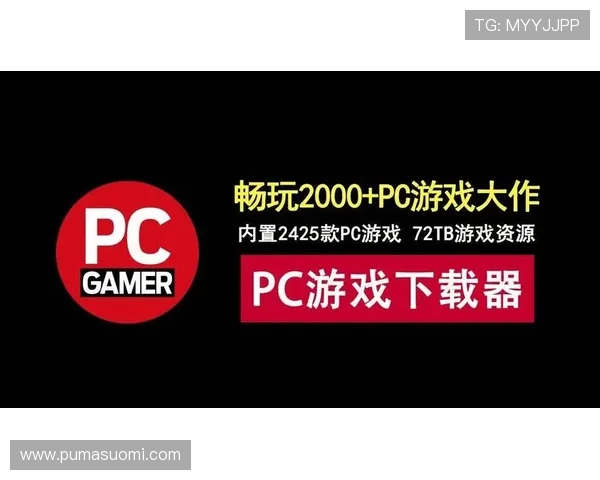 乐玩游戏官方旗舰店多样化游戏配件满足不同玩家的个性化需求